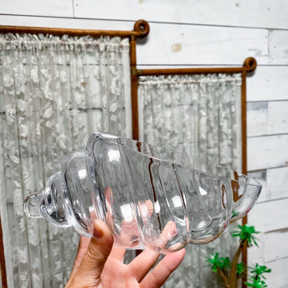 Glass SeaShell Display Bowl - Picture 2 of 3